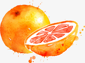 卡通手绘-手绘水彩水果西柚
